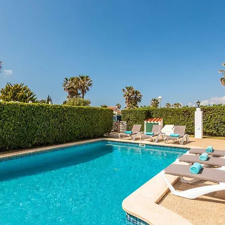 Gum * קאלאן בוש